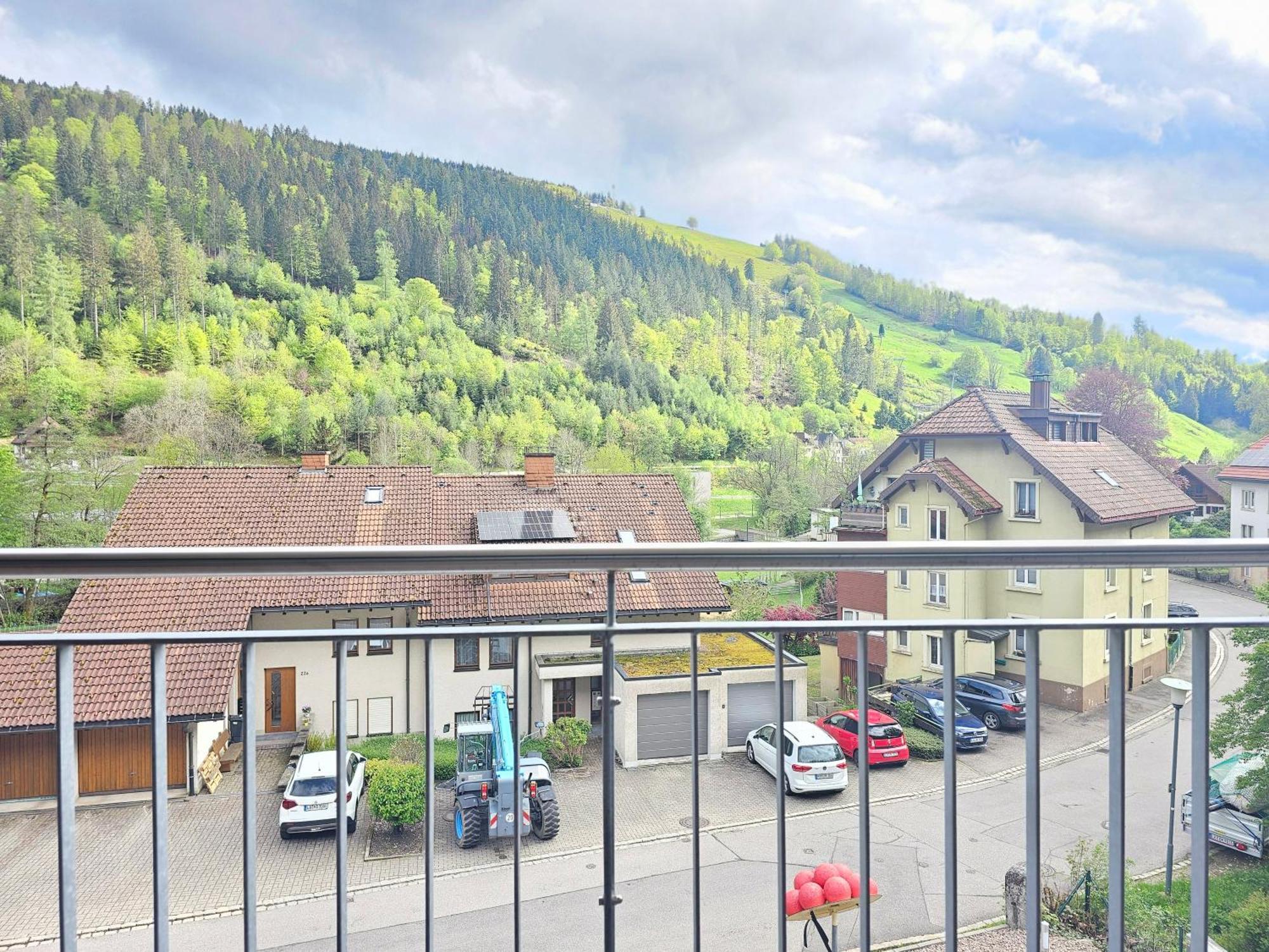 Black Forest I Sauna Auf Dem Balkon I Boxspring I Nespresso I Ausblick I Wasserfaelle Im Ort Todtnau Exterior foto